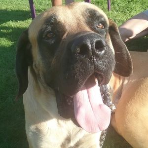 Meet your Posher, Hunter